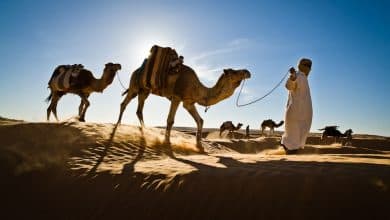 http://jorgbadura.com//wp-content/uploads/2013/02/Jorg-Badura-06-Sahara-Desert-Camel-Trek-.jpg